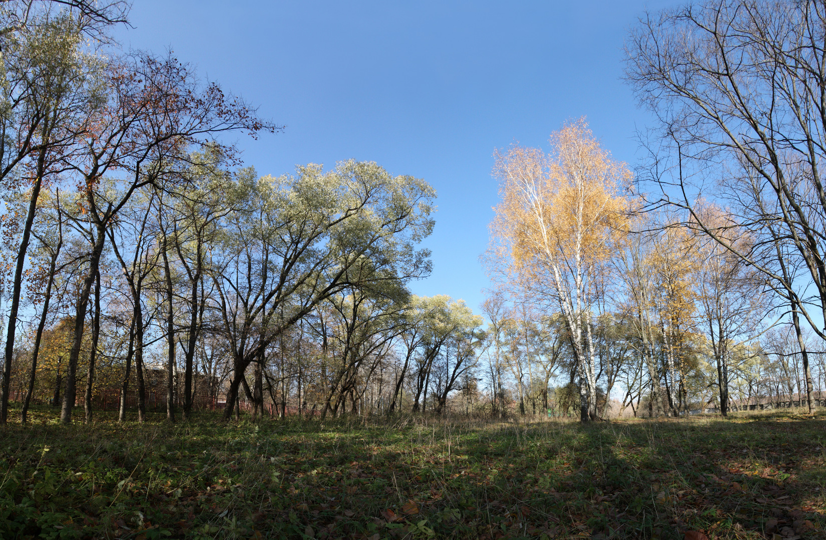 Старый парк